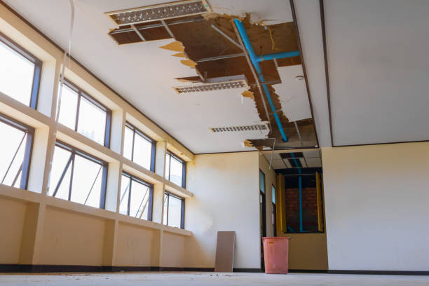 Best Flood damage cleanup  in Irondale, GA