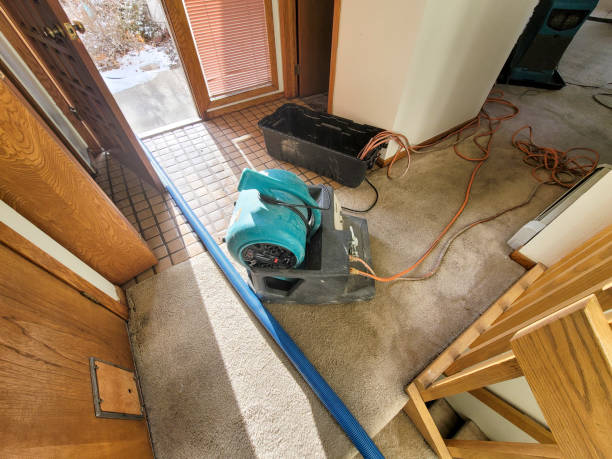 Best Local water damage restoration  in Irondale, GA