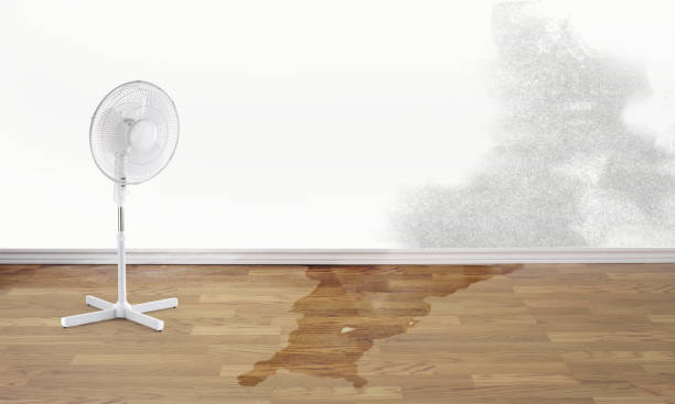 Best Water damage restoration near me  in Irondale, GA