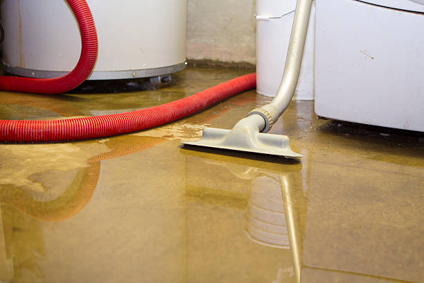 Best Sewage cleanup and water damage restoration  in Irondale, GA