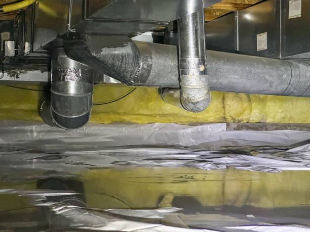 Best Water damage cleanup near me  in Irondale, GA