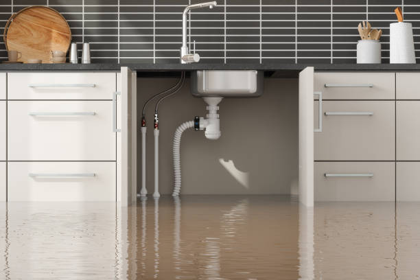 Best Mold removal after water damage  in Irondale, GA