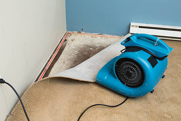 Best Professional water damage repair  in Irondale, GA